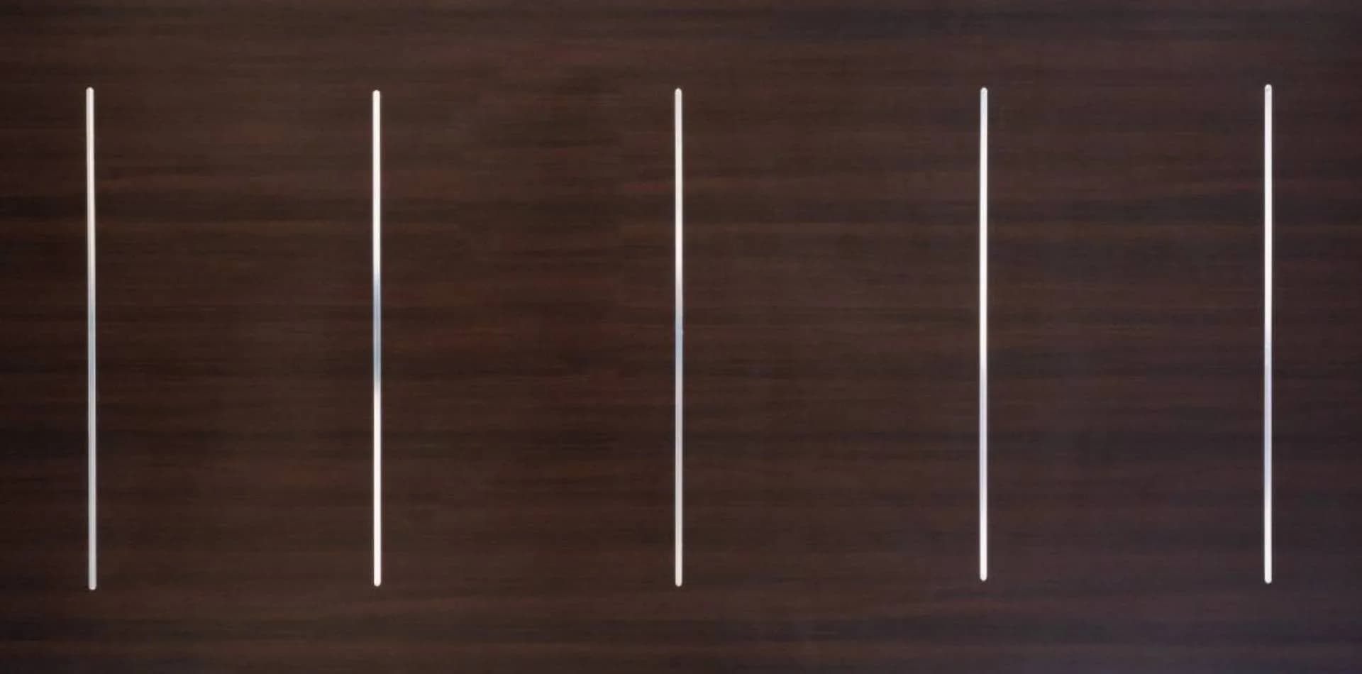 Dark wenge wooden door with slim vertical steel handles