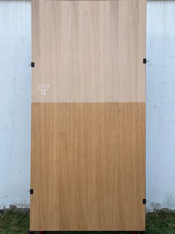 White oak veneer sheet with a raw upper half and a finished lower half