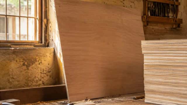 The Right Plywood for Every Room — A No-Nonsense Guide