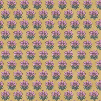 Sanskriti Wallpaper 03