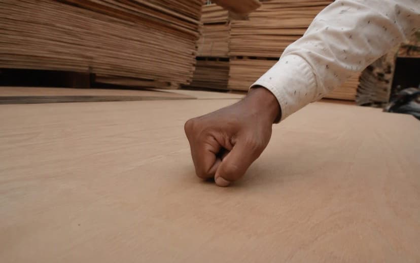 A buyer rapping knuckles on the surface of a plywood sheet at a dealer godown to perform the knock test, with stacked plywood sheets in the background